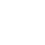 ZL