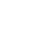 L1